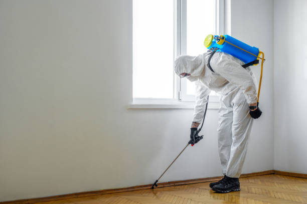 Professional Pest control in Lakeland, TN